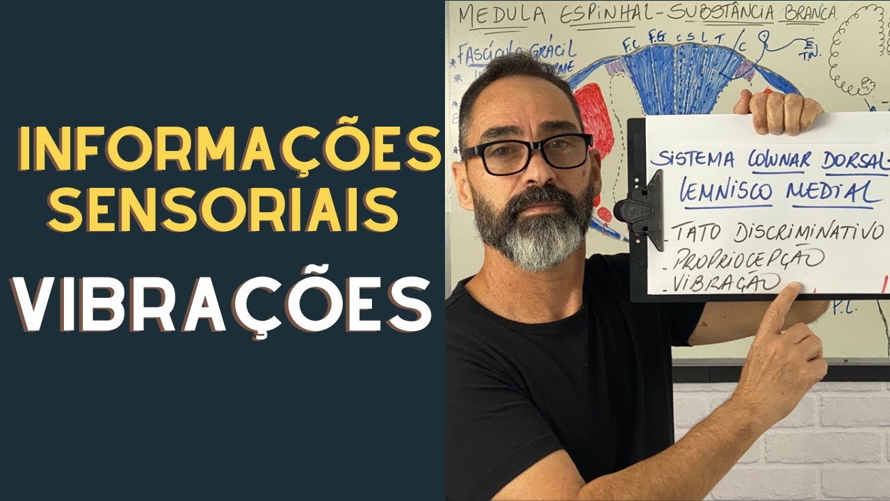 SISTEMA COLUNAR DORSAL LEMNISCO MEDIAL LEVA INFORMA&Ccedil;&Otilde;ES SENSORIAIS PARA O C&Oacute;RTEX CEREBRAL