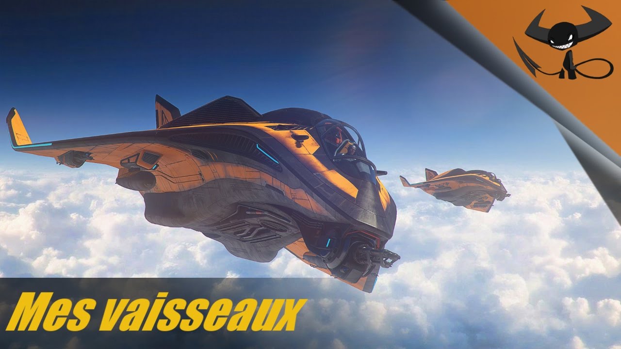 [FR] Star Citizen - Mes vaisseaux