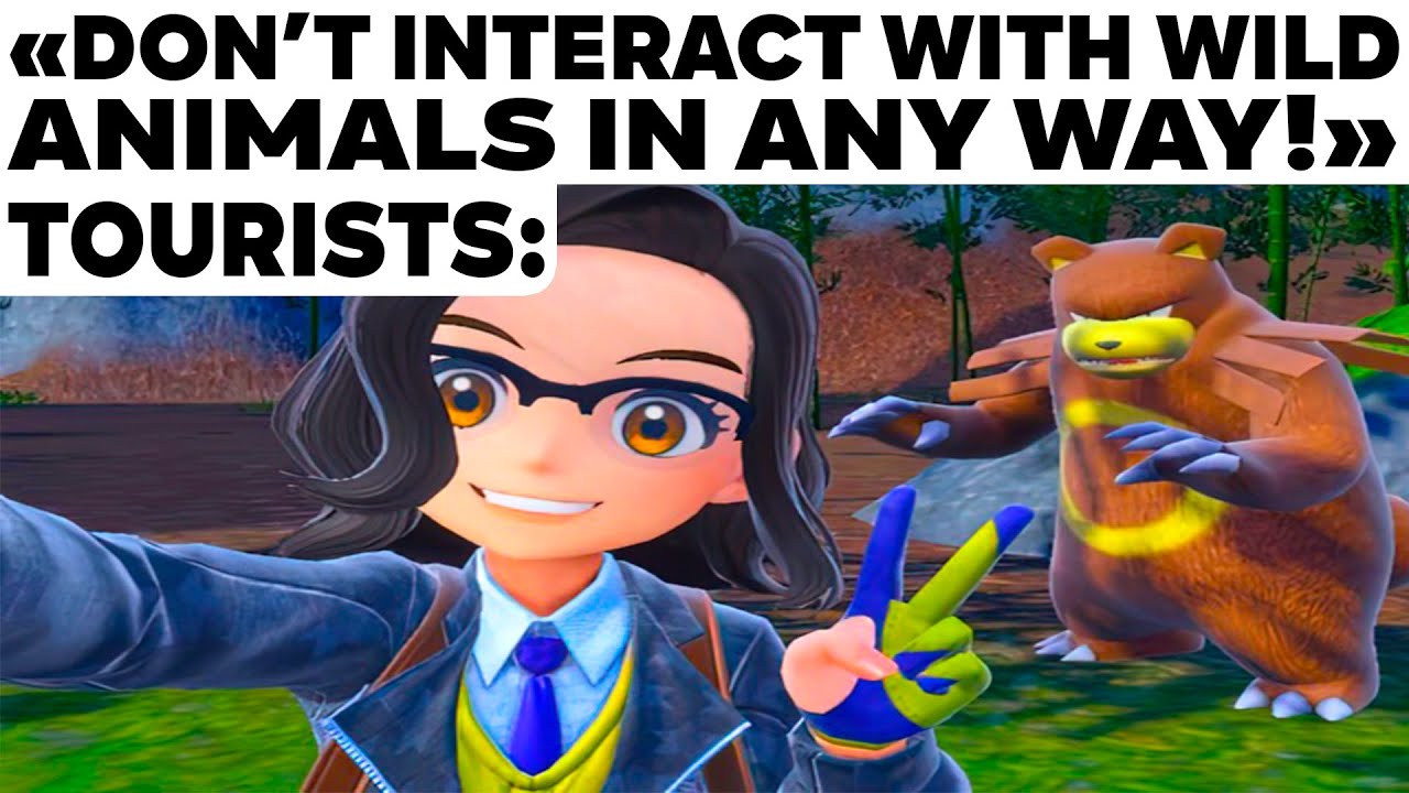 POKEMON MEMES V136 You Should Watch Instead of Interact with Wild Animals