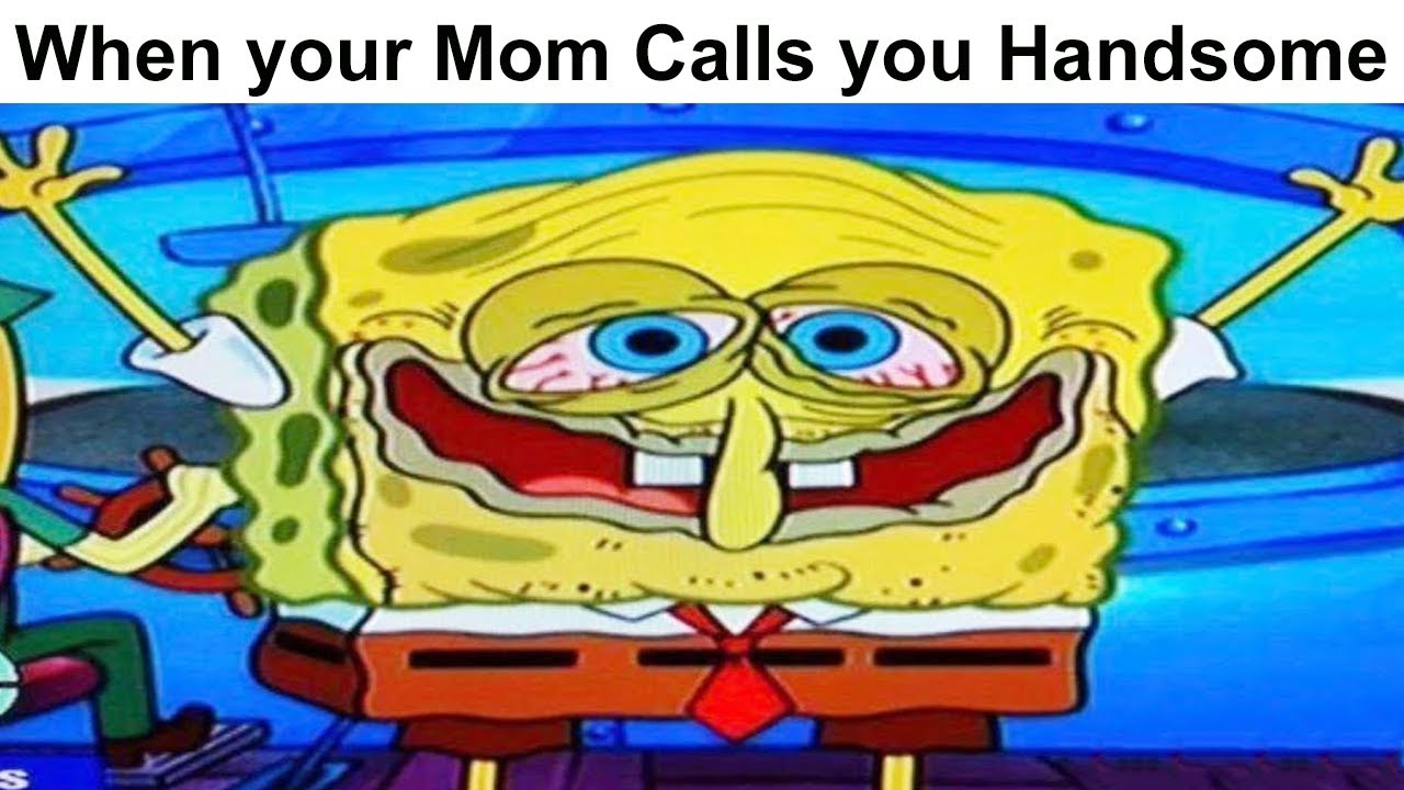 Daily Funny Memes #3