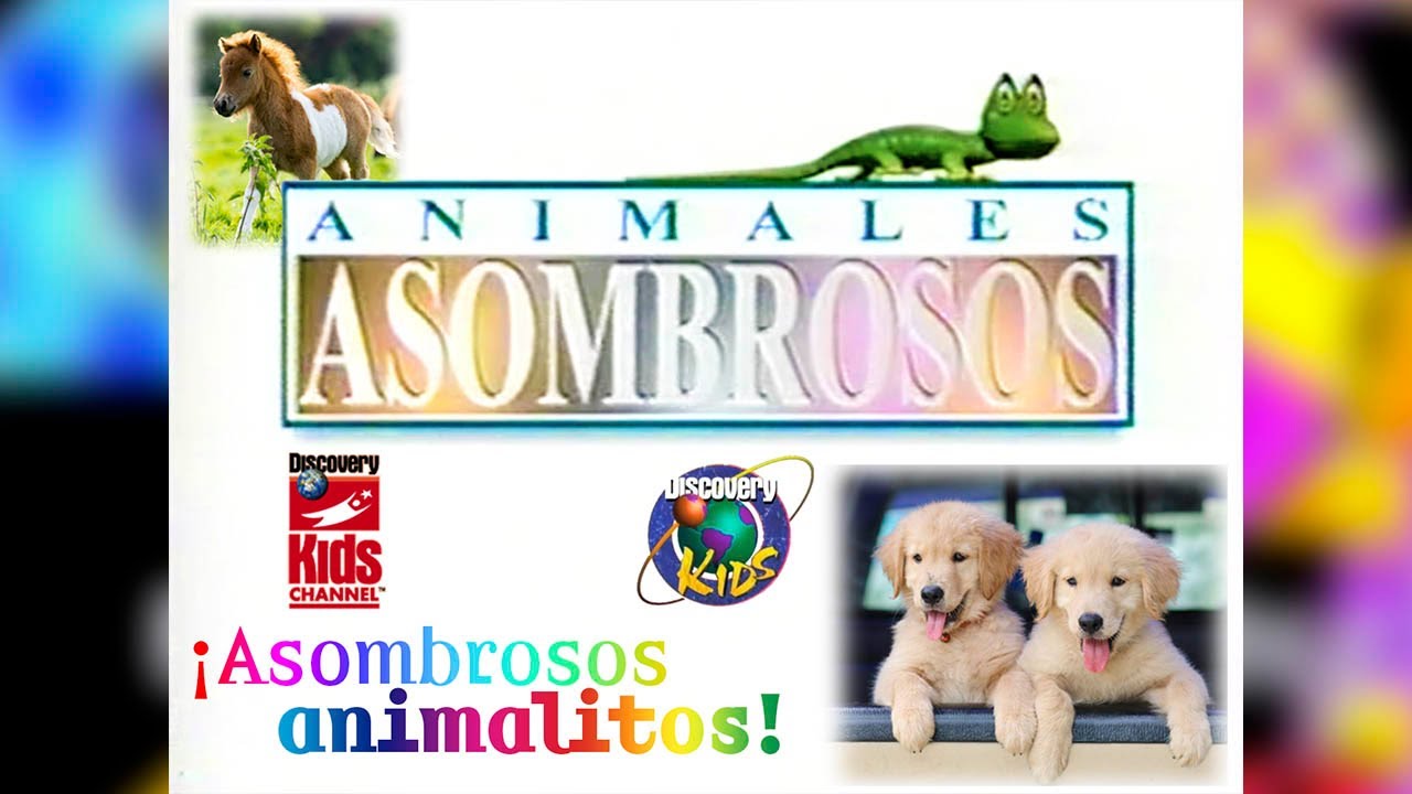 Animales Asombrosos | Discovery Kids