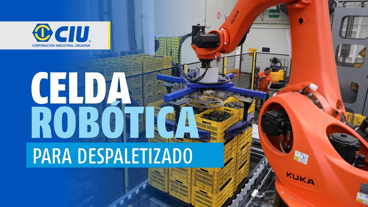 CIU ROBOT DESPALETIZADOR (PARA CAJA DE CAMPO)