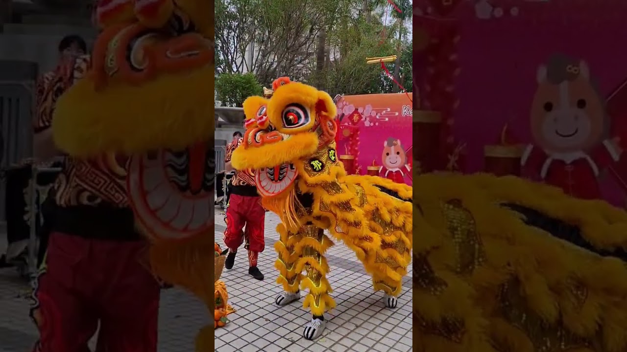 Lion Dance for Lunar New Year 醒獅賀馬年