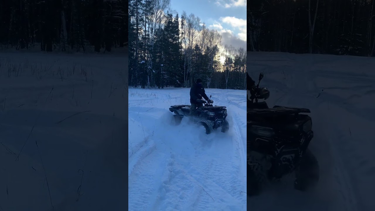 Все выкладывают видео в снегу 