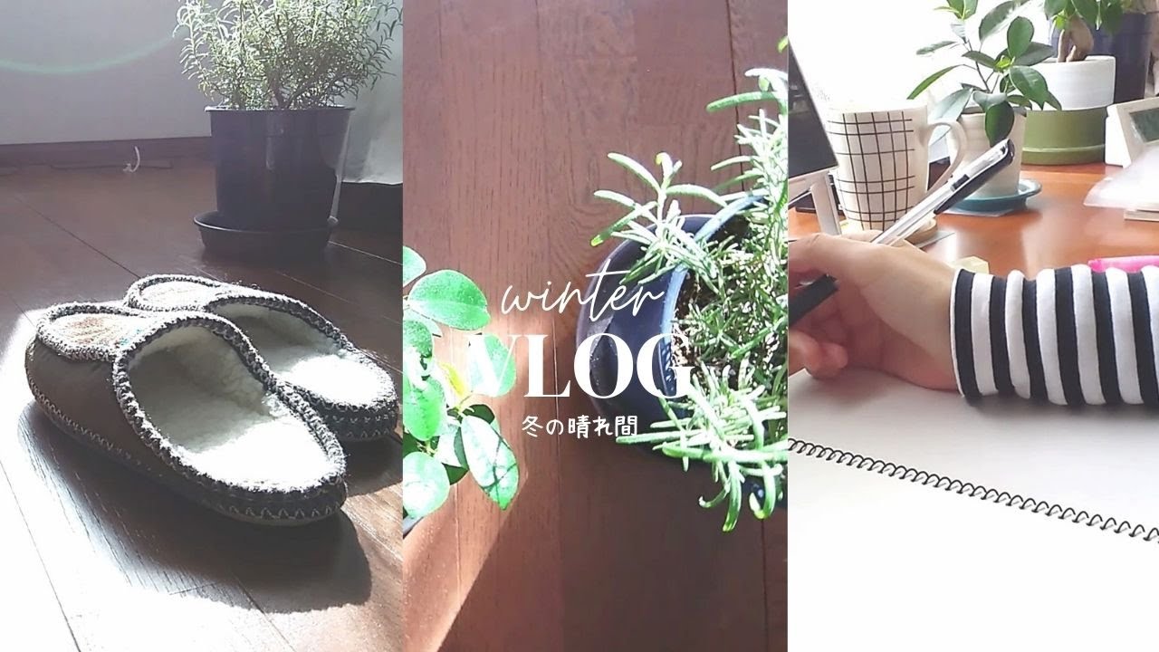 【VLOG】雪国の冬、冬の晴れ間、今日の気づきノート「不安からの開放」、財布のお手入れ～心地よい暮らし～