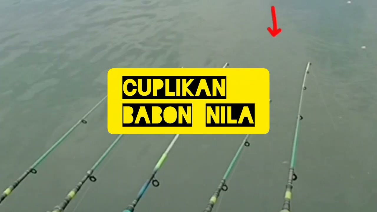 Mancing Saguling‼️mancing 5 jam dispot mang alo cikebluk Saguling ada cintanya 3 ekor terselamatkan 