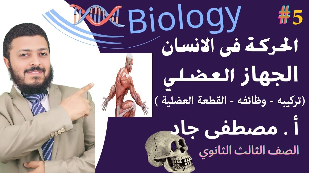 الحركة في الانسان
