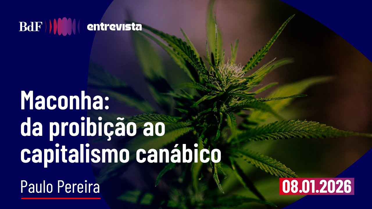 Maconha: da proibi&ccedil;&atilde;o ao capitalismo can&aacute;bico | BdF Entrevista Paulo Pereira