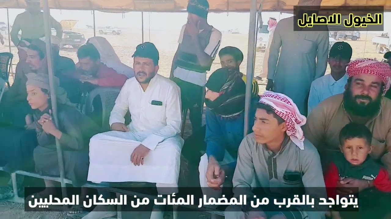الخيول الاصايل#باشراف من الفارس احمد الموسى#سباق الزهراء ٢٠٢٢/١٠/١