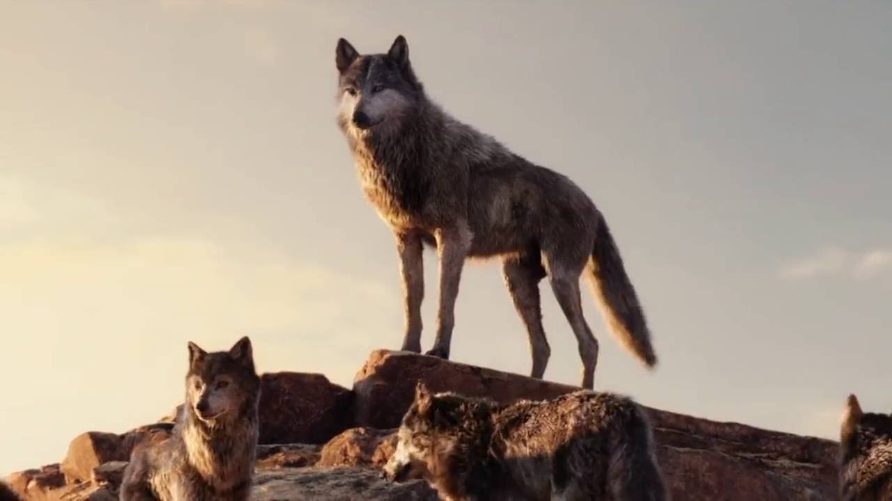 DeJake - Primal | The Jungle Book Music Video