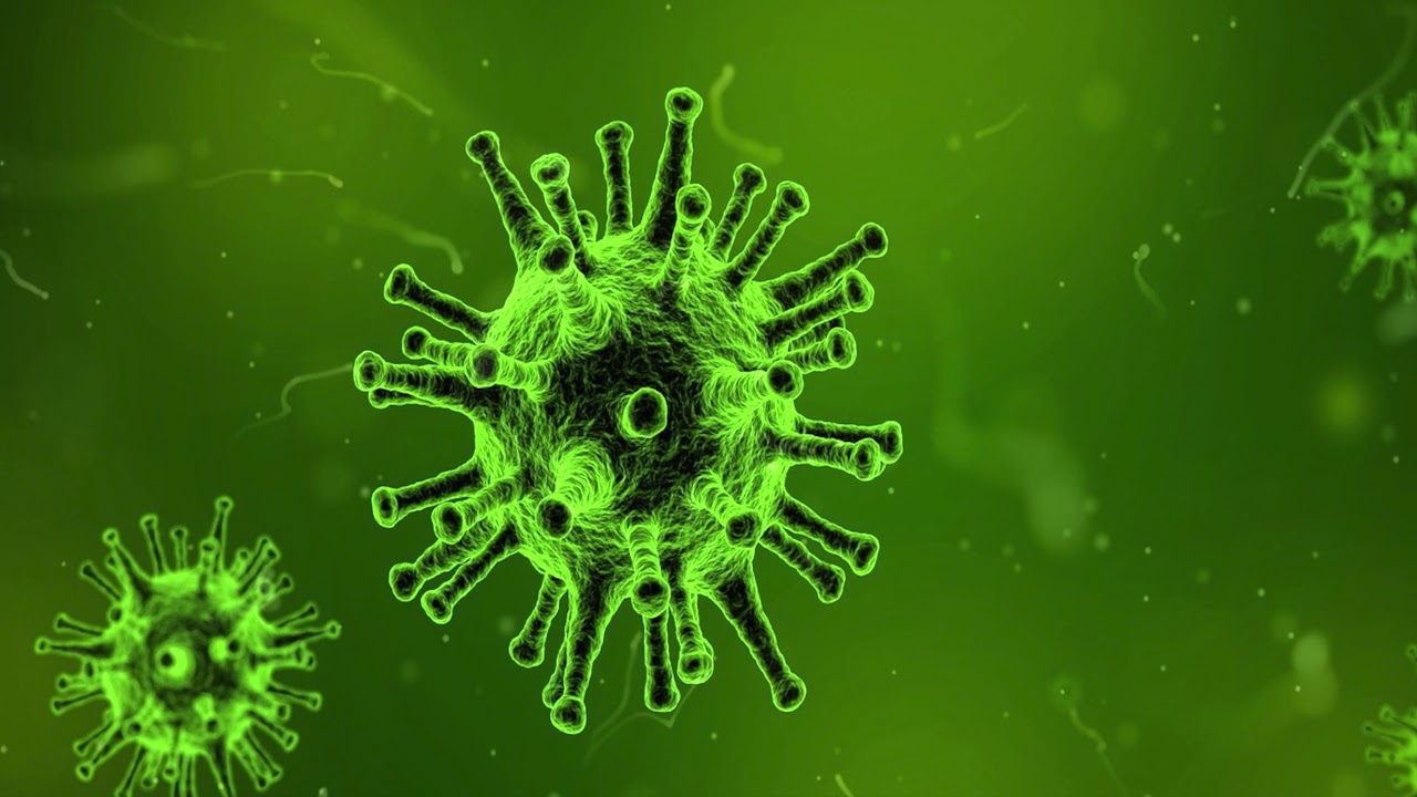 Jan. 30, 2020 Senator Cotton Urges China Travel Ban in Wake of Coronavirus 2-7-2020 | Organic Slant