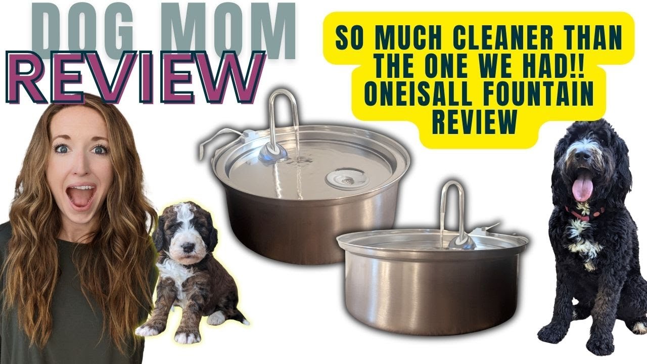 Oneisall Dog Fountain Review! | Amazon Finds! We love this company!