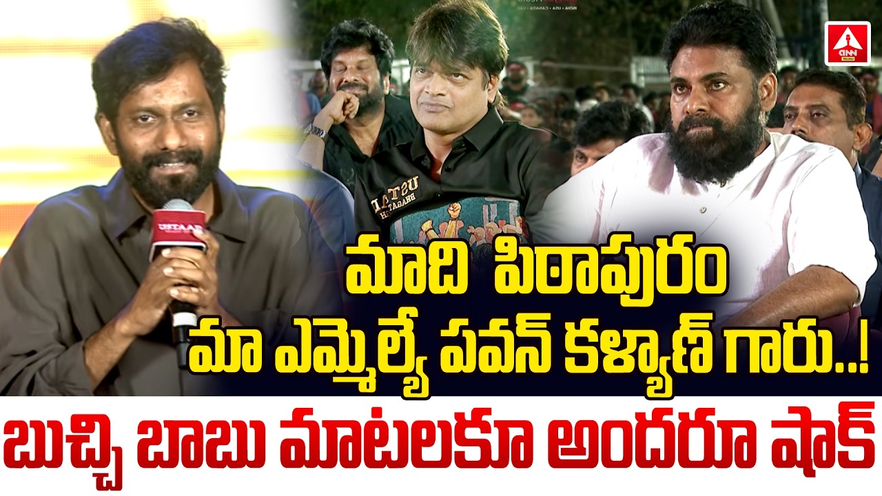 మాది పిఠాపురం....మా ఎమ్మెల్యే పవన్ కళ్యాణ్..! | Director Buchi Babu Comments On Pawan Kalyan