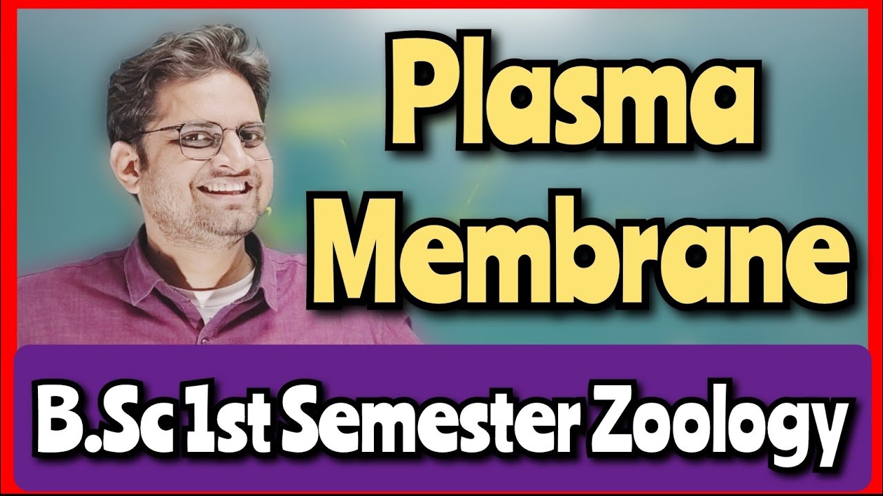 Plasma Membrane #bedkdian #mjpru #zoology #bsc1stsemester