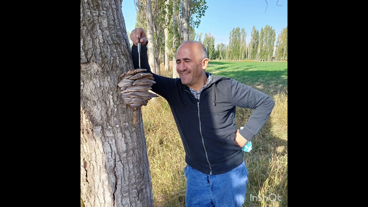 Güzel bir klip☺️