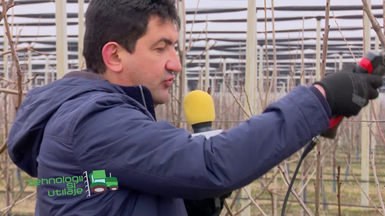 Tehnologii și utilaje: Lucrări de sezon în livada lui Marius Roman | 28.02.2021