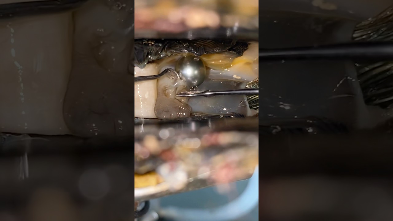 POV: You Found the Perfect Pearl