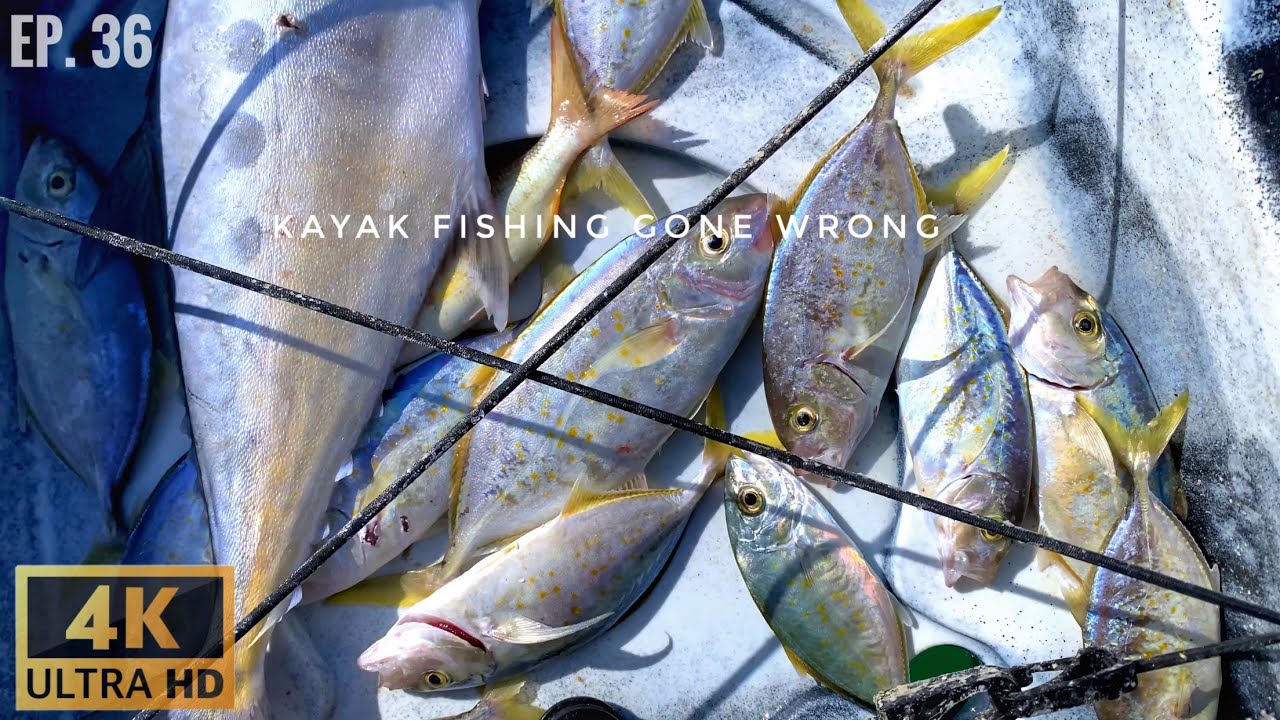 We reached Abu Dhabi’s forbidden fishing spot (MILITARY AREA)