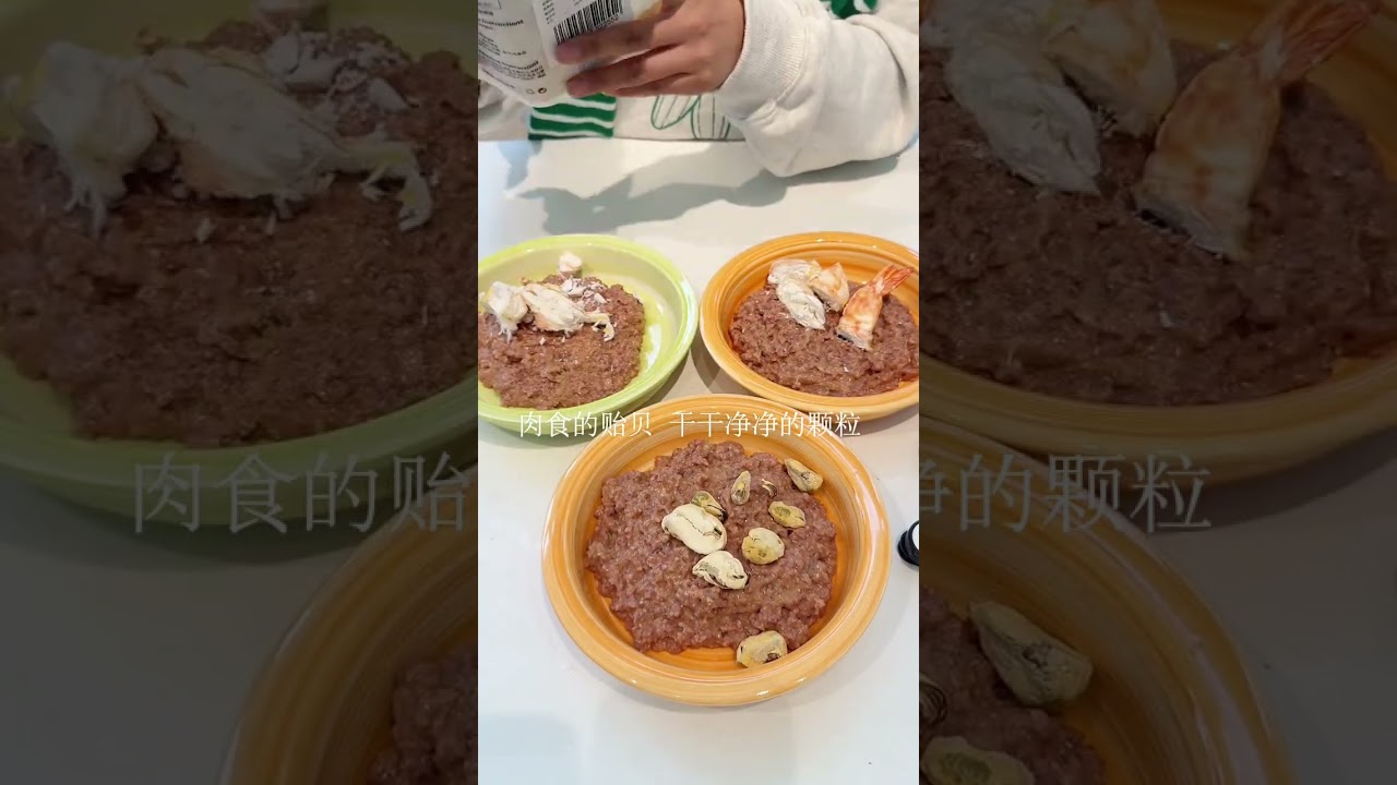 Immersive Cat & Dog Meal Prep ASMR | Relaxing Pet Food Sounds! #catasmr  #dogasmr #pet #dogfeeding