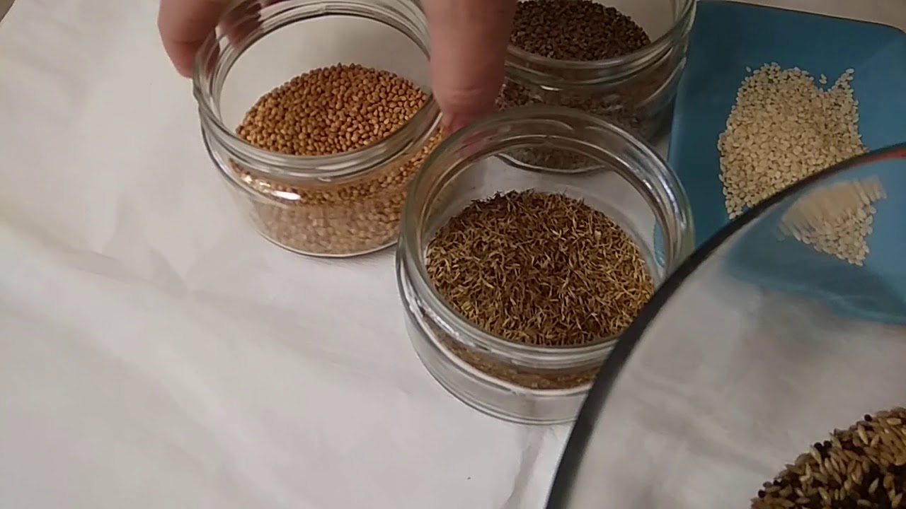 Готовим зерновую смесь для наших канареек