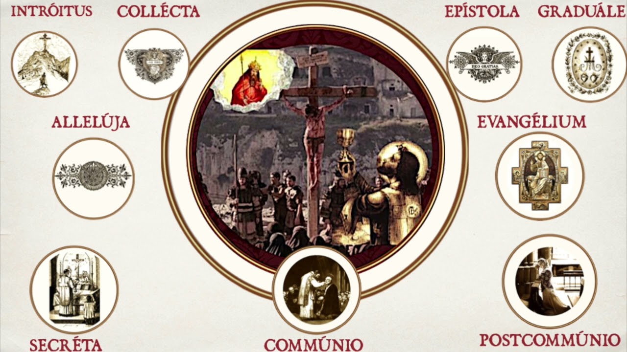 🇪🇸 ➕XV (15) Décimo quinto domingo después de Pentecostés · Traducción  lecturas Misa Tradicional