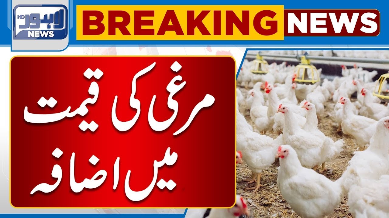 Breaking! Chicken Price Increased |  Latest Price of  Broiler Meat  | Lahore News HD