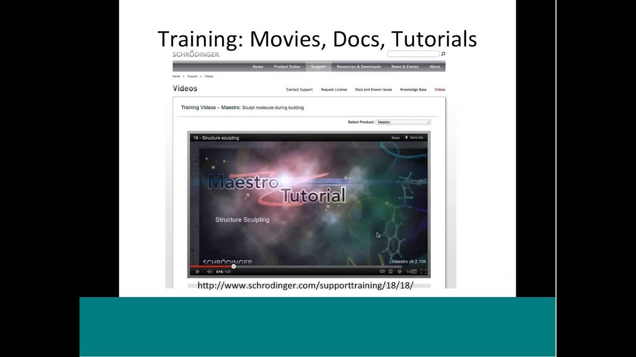 Virtual Screening with Schrödinger