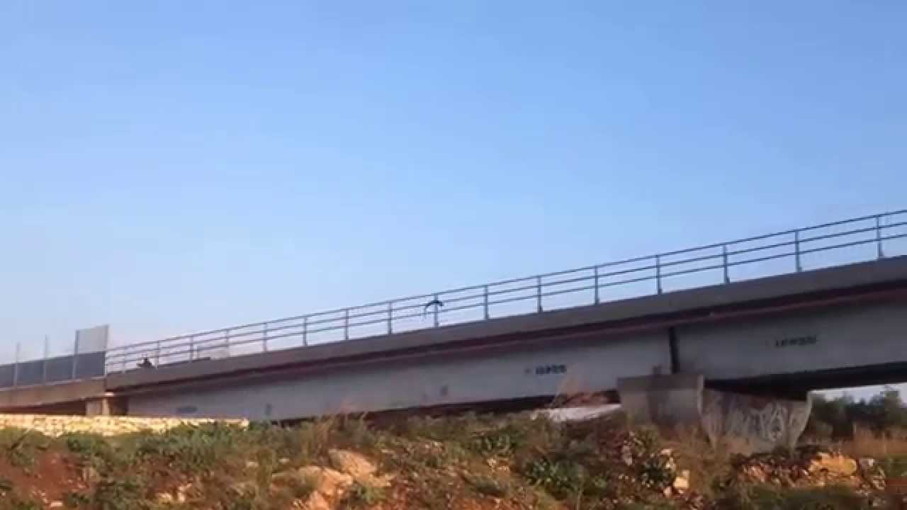 Corvo gigantesco attacca i passanti a Bitritto
