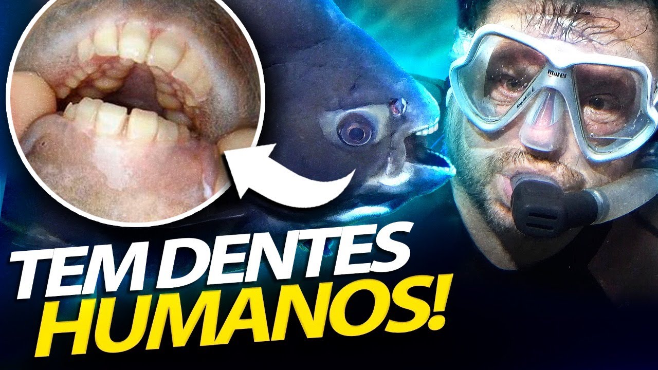 TAMBAQUI, O PEIXE COM DENTES IGUAL GENTE! | RICHARD RASMUSSEN