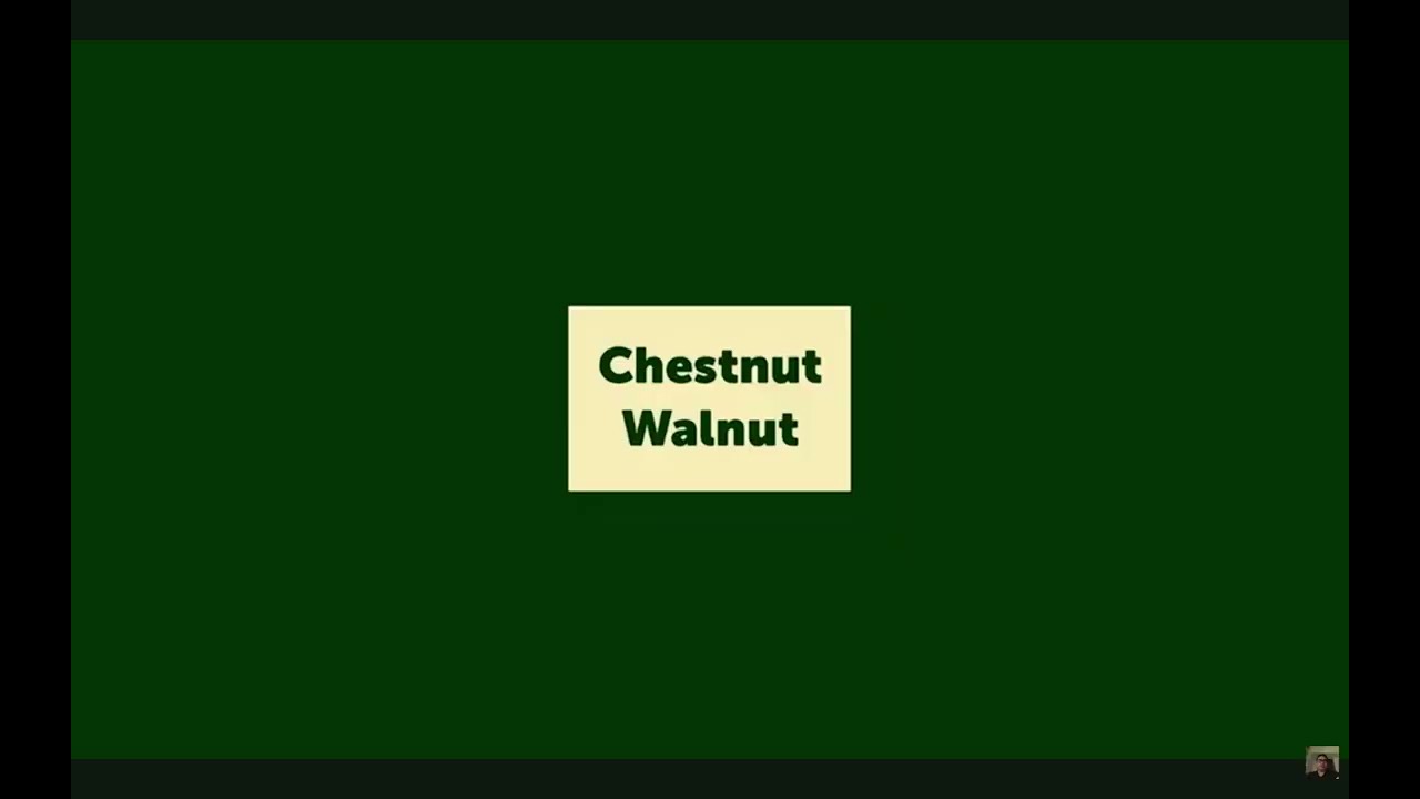 DFLC: Departure Films/Jessebean Inc./The Stuffed Dog Company/PBI/YNPH/Chestnut Walnut (2026)