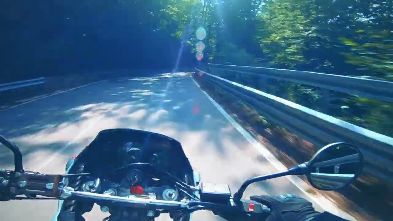 Kawasaki KLE 500 - Biharfüred Románia RAW