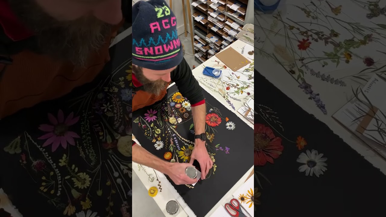 Creating Pressed Flower Art called &ldquo;Happiness&rdquo; on Rives Black Print Making Paper.