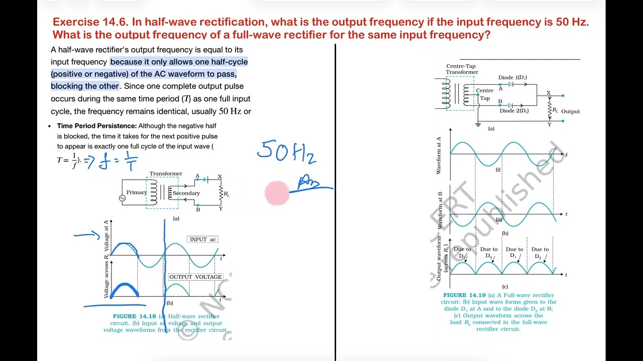 Exercise 14.6 Physics 12. In half-wave rectification, what is the output frequency if the input 