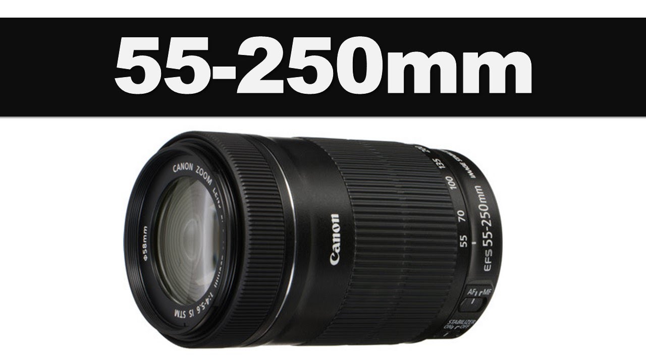 Lente CANON EF-S 55-250mm f/4-5.6 IS STM é boa? Review em português