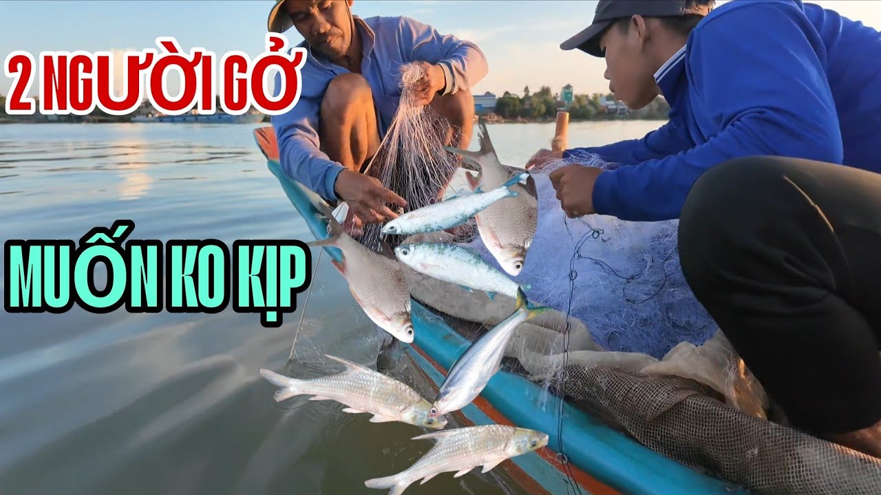 Thả lưới trên sông tiền, 2 người gở không kiệp Nghề mưu sinh trên sông