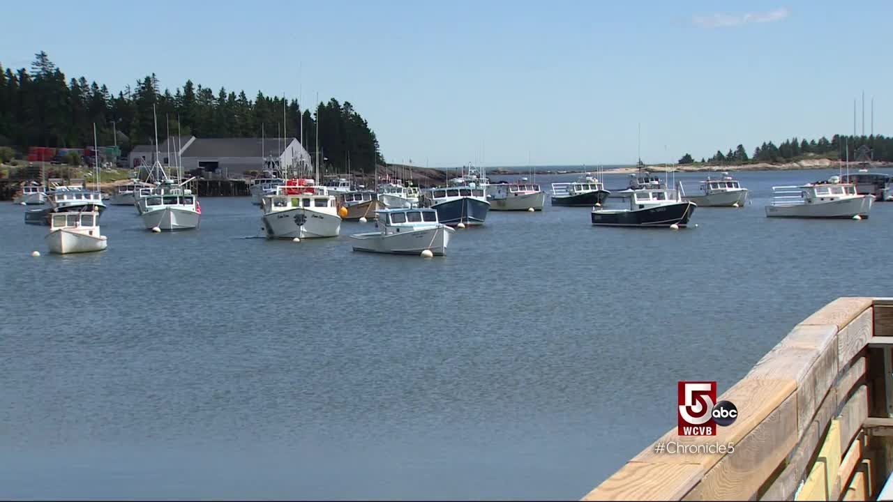 Schoodic Peninsula: Acadia's Hidden Gem