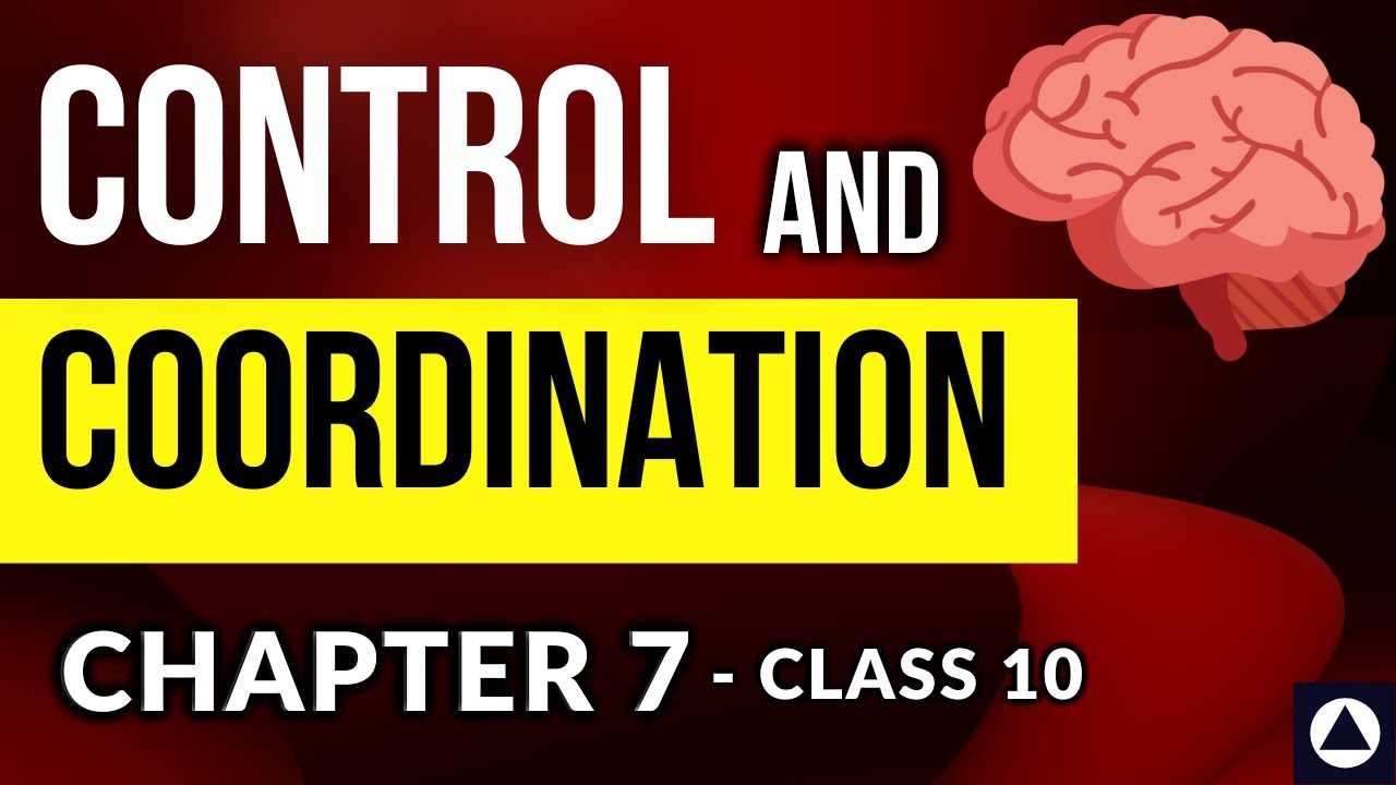 CONTROL AND COORDINATION  - Chapter 7 - Audiobook | NCERT Chapter Reading - CBSE Class 10 - One-Shot