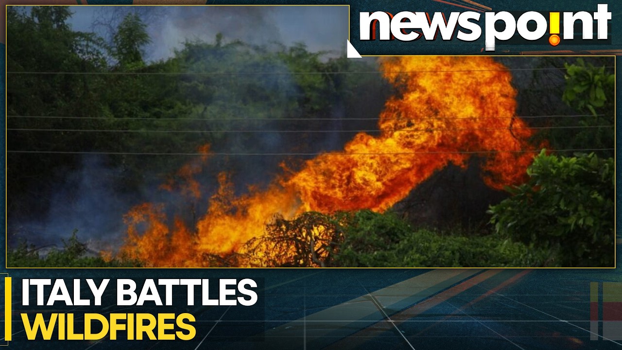 Italy: Wildfires Rage Across Italy, Emergency Operations Continue | Newspoint | WION