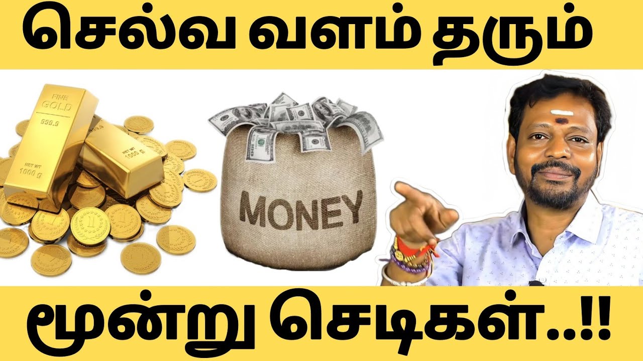 வீட்டில் நிம்மதி நிலைக்க / பணம், பெயர், புகழ் கிடைக்க இந்த 3 செடிகளை வீட்டில் வளர்த்தால் போதும் ♒