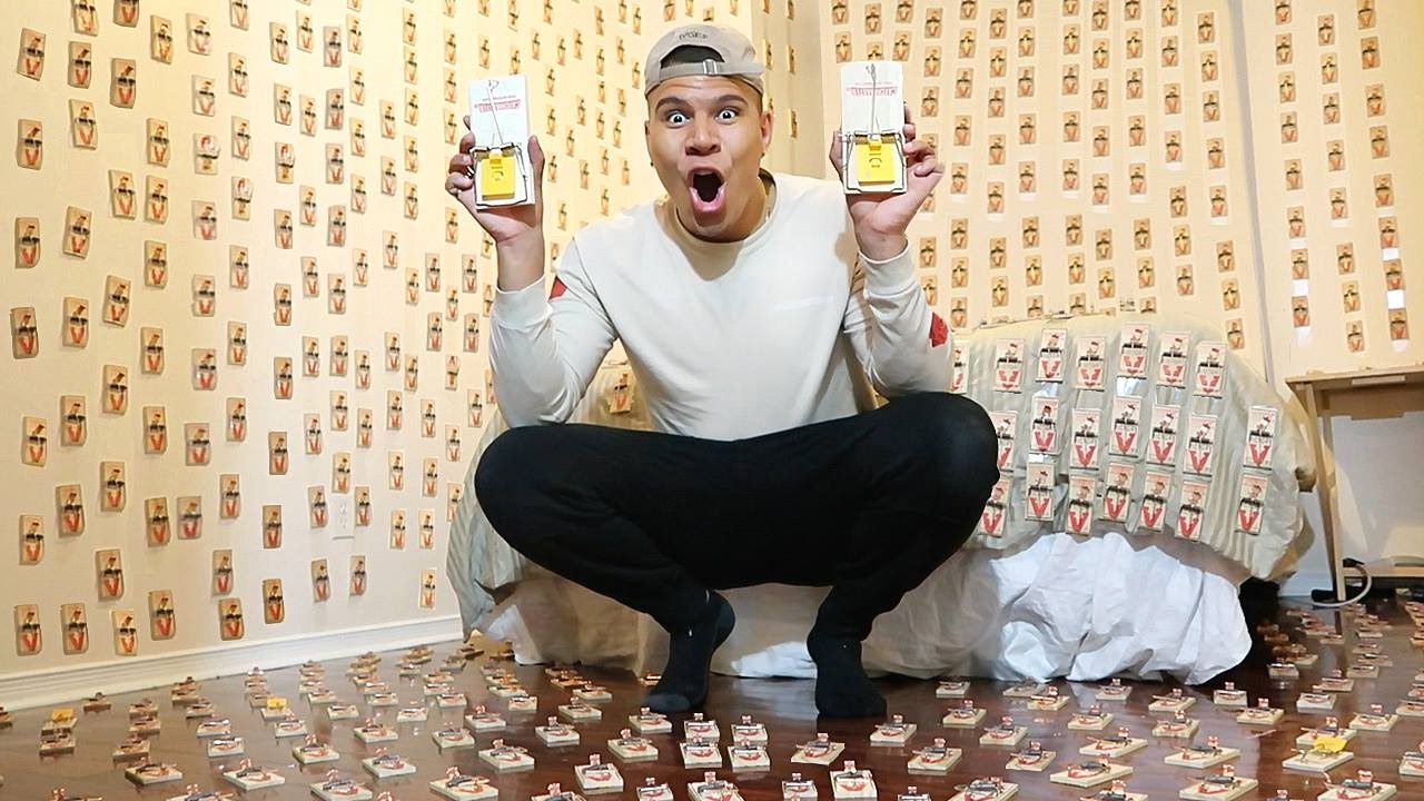 INSANE 1000 MOUSE TRAP PRANK ON ROOMATE (PRANK WARS)