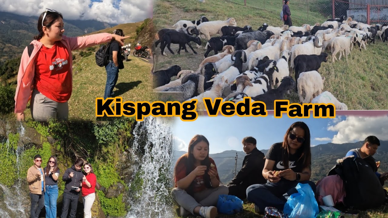 HAMRO RAMRO KISPANG VEDA FARM/Too Much Fun with My Family 🥰😘