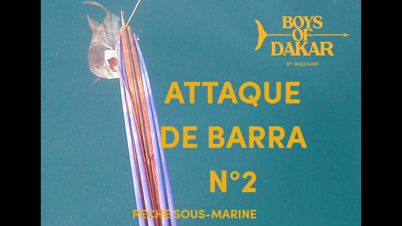 🥈PECHE SOUS MARINE - ATTAQUE BARRA N°2 - MAJCAAM - BOYS OF DAKAR - Ep.292