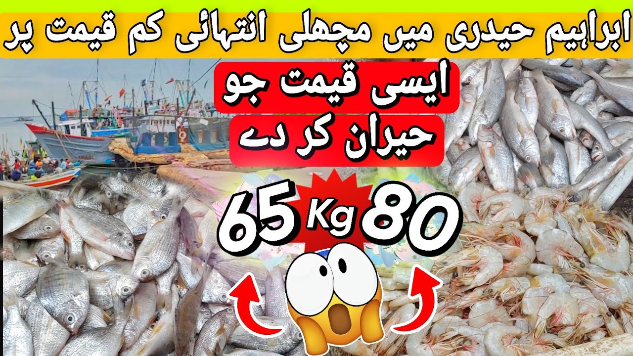 Wholesale Price Fish in Karachi Ibrahim Hyderi Market 2023 | Cheapest Rate of Fish in Ibrahim Hyderi