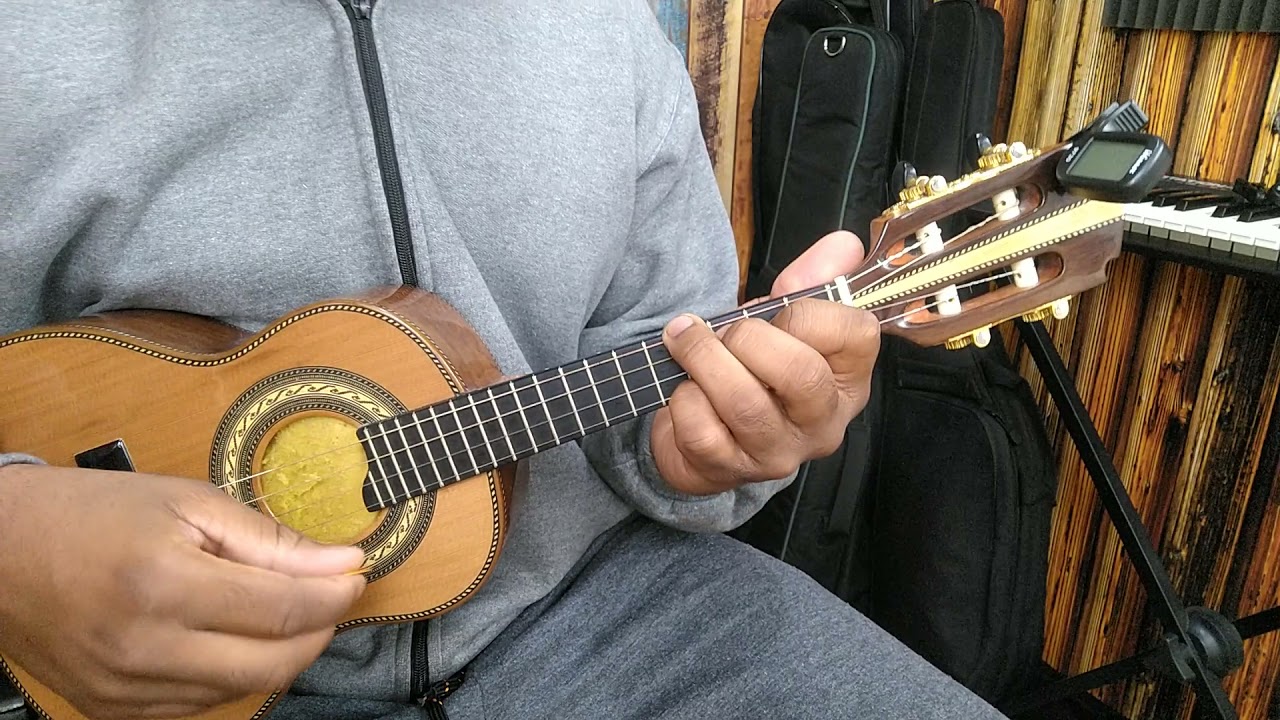 ME LEVA JUNTO COM VOCÊ - RAÇA NEGRA 5 ACORDES ( AULA DE CAVAQUINHO )