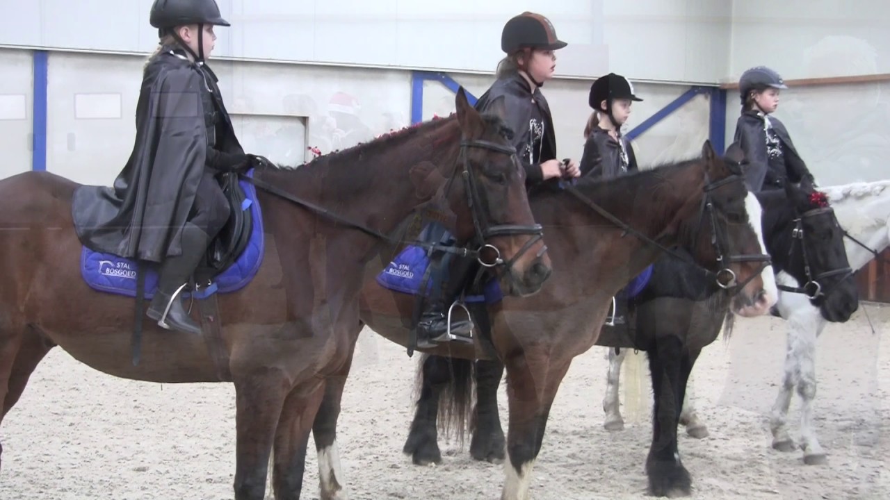 Stal Bosgoed Vianen kerstuitvoering