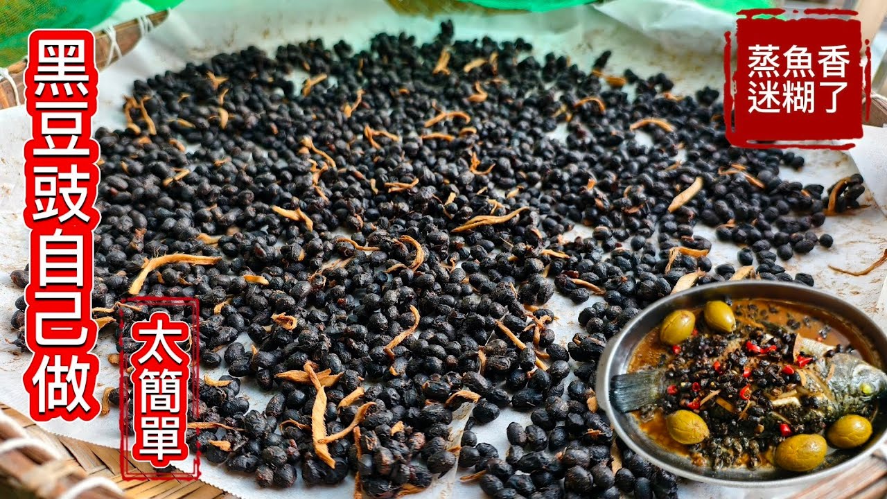 真的不用買 黑豆豉自己做太簡單-外面買的齁鹹 _如何蒸豆豉魚香迷糊了 太好吃了