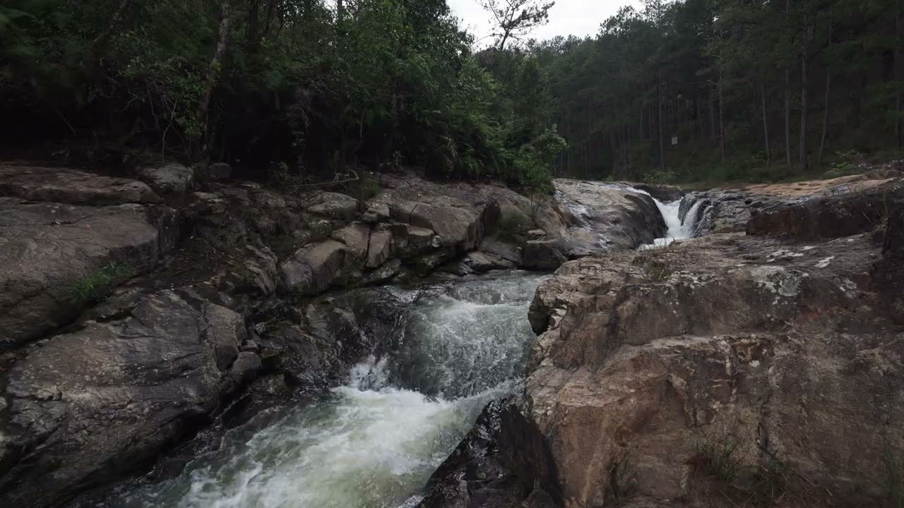 Gentle Waterfall Sounds for Deep Sleep 🌿 8 Hours | Forest Waterfall Ambience
