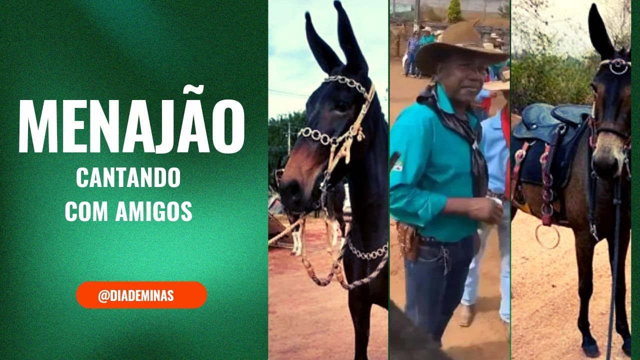 #shorts #viral  FÃ DE TIÃO CARREIRO 