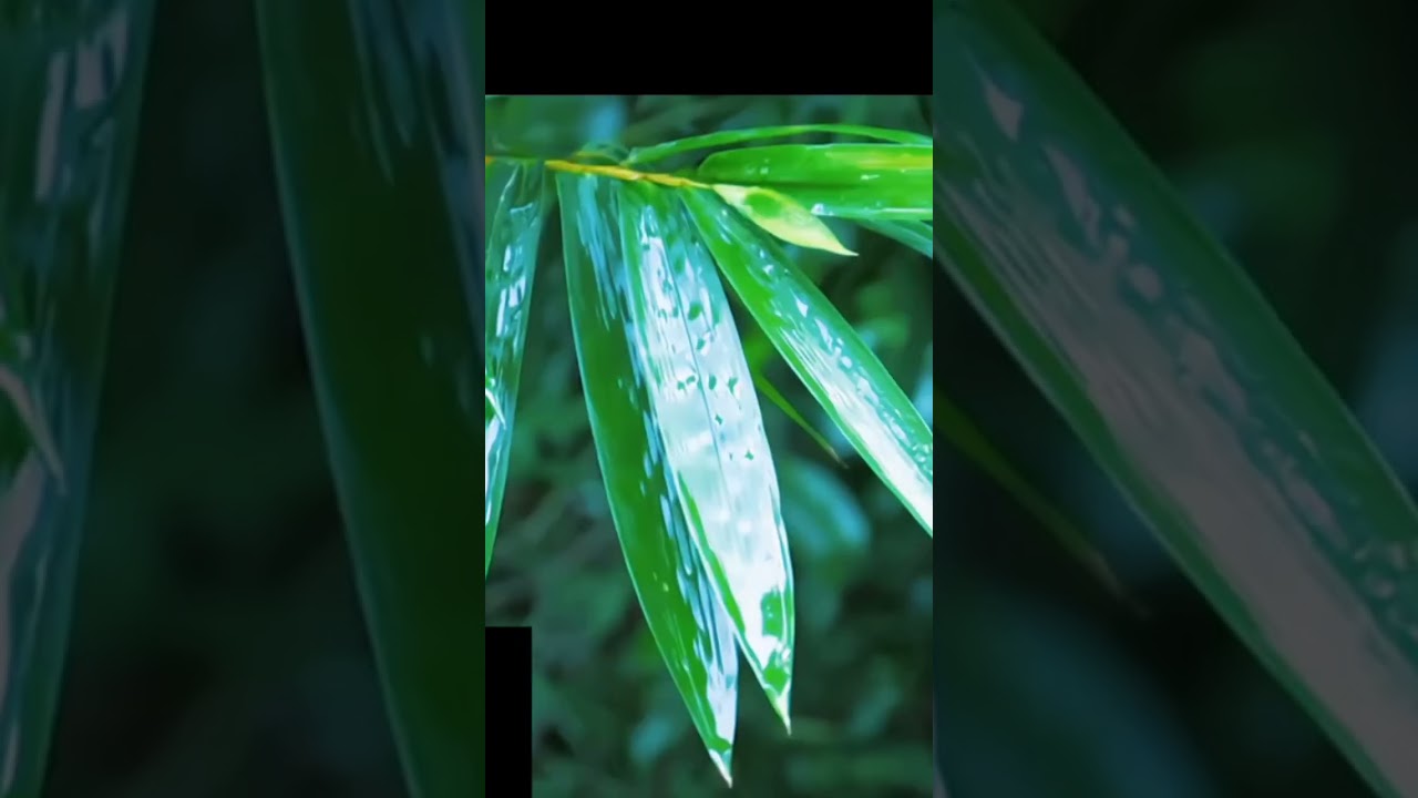 Odisha Monsoon Short Edit🤯🥵 Odisha monsoon video #Monsoon#edit #shorts