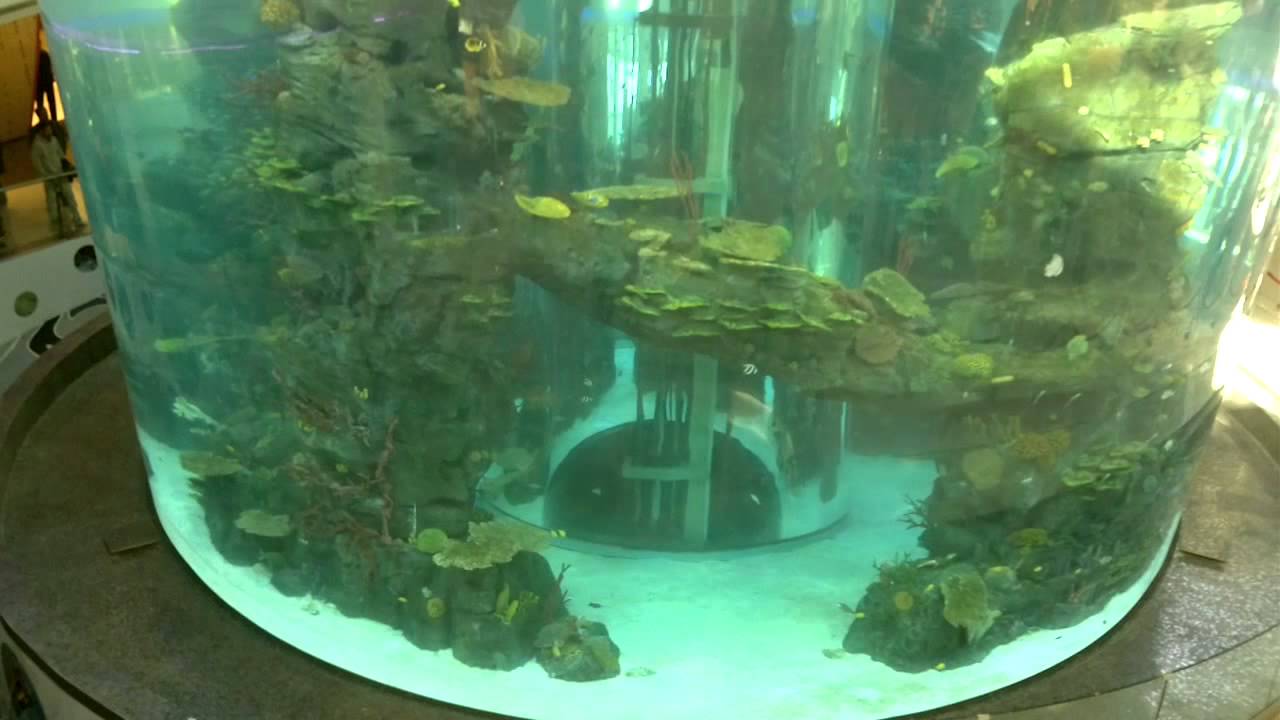 Morocco Mall - Aquarium